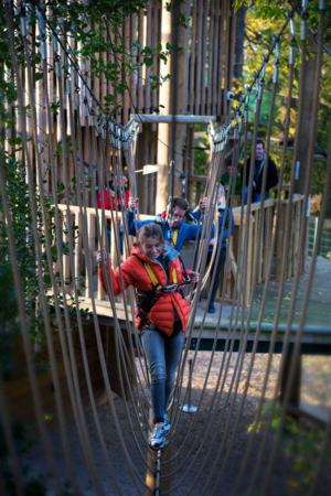 Outdoor ropes course
