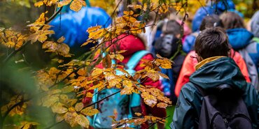 Autumn Safety Tips
