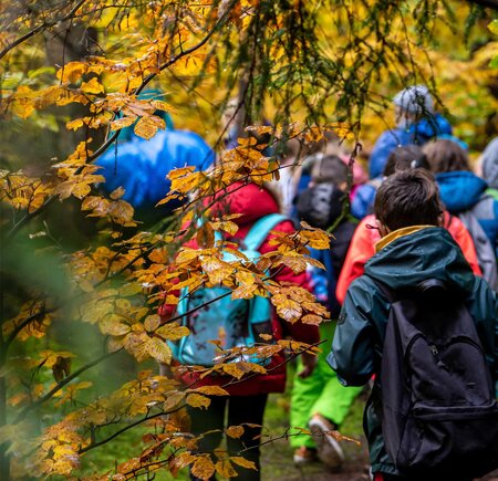 Autumn Safety Tips